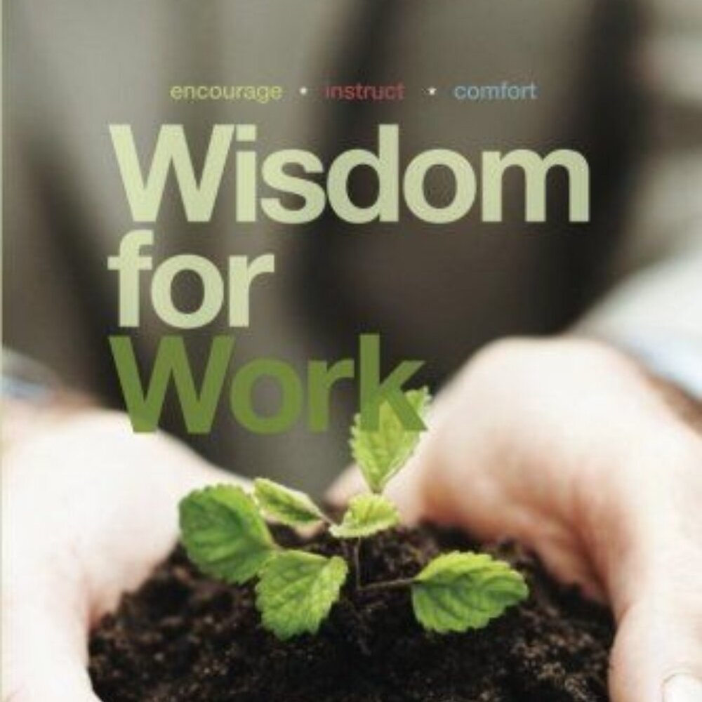 Wisdom for Work (Paperback) Boyd Bailey Wisdom Hunters Paperback